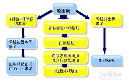 假性醛固酮增多症