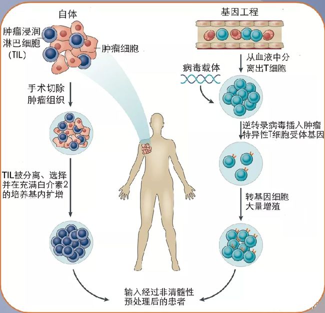 胶质母细胞瘤脑水肿打贝伐单抗_打贝伐珠单抗能不能停药_贝伐珠单抗是化疗药吗