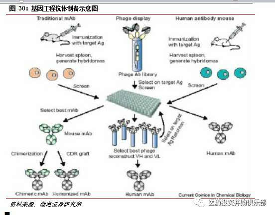 贝伐珠单抗_贝伐珠单抗治疗肺腺癌_贝伐珠单抗抗癌机制