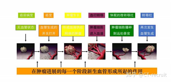 贝伐单抗和贝伐珠单抗_贝伐珠单抗是化疗药吗_贝伐单抗药物毒性