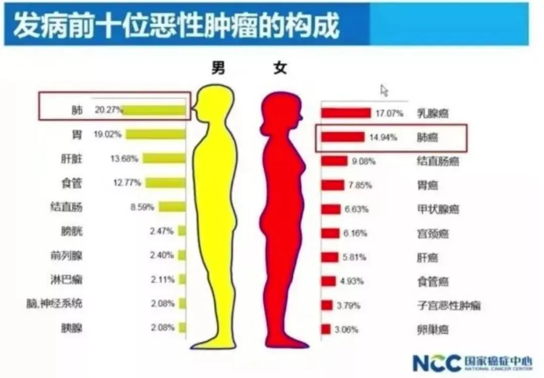 贝伐单抗三周用药_贝伐单抗印度版_贝伐珠单抗