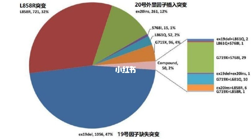 正确吃海参的几种方法_肺癌盐酸安罗替尼胶囊_肺癌吃吉非替尼的正确方法