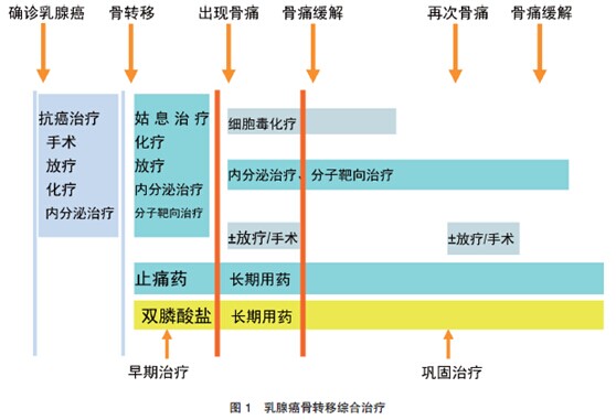 贝伐珠单抗可以报销吗_贝伐珠单抗宫颈癌骨转移_贝伐珠单抗的副作用