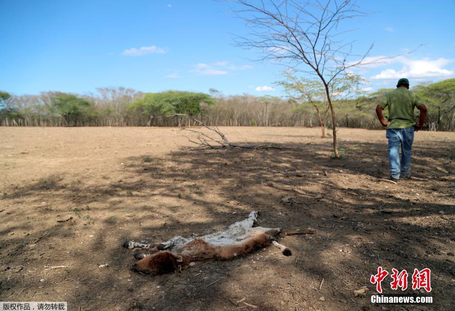 贝伐珠单抗治疗肺腺癌_贝伐珠单抗注射液_服用贝伐珠单抗几天才能有效