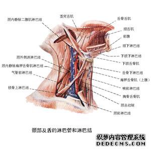 印度9291奥希替尼图片_奥希替尼治疗腹腔淋巴转移吗_胃癌转移腹腔怎么治疗