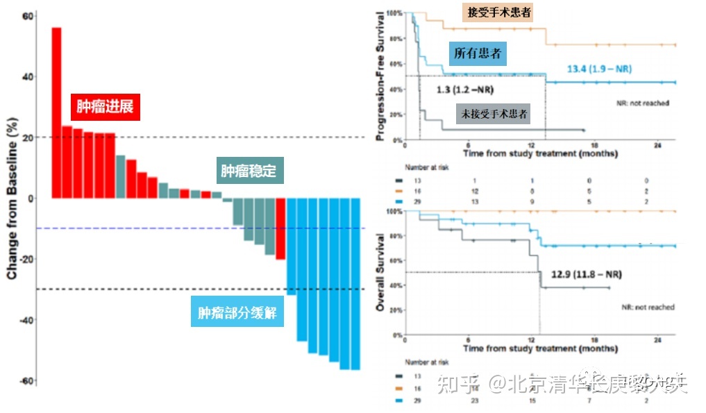 索拉非尼 医保报销多少_尼妥珠单抗医保能报销吗_肺癌新药吉非替尼医保报销吗