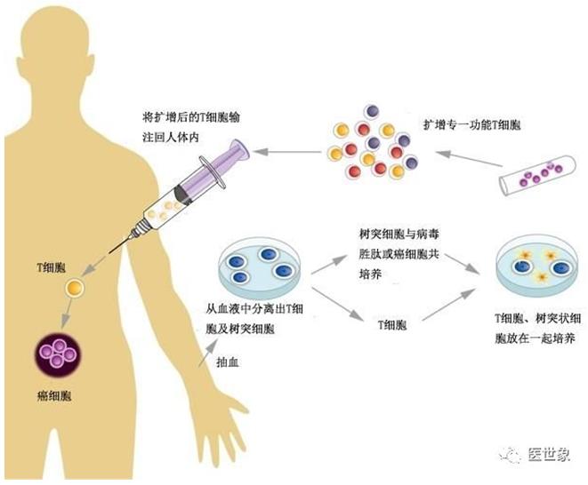 贝伐单抗和贝伐珠单抗_贝伐珠单抗联合靶向药物_贝伐珠单抗说明书