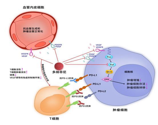 美国宫颈癌晚期靶向药贝伐单抗_贝伐单抗为什么赠药_贝伐单抗赠药骗局