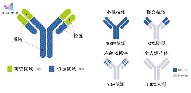 奥希替尼9291哪里买_一次吃奥希替尼的副作用及禁忌_中国版奥希替尼