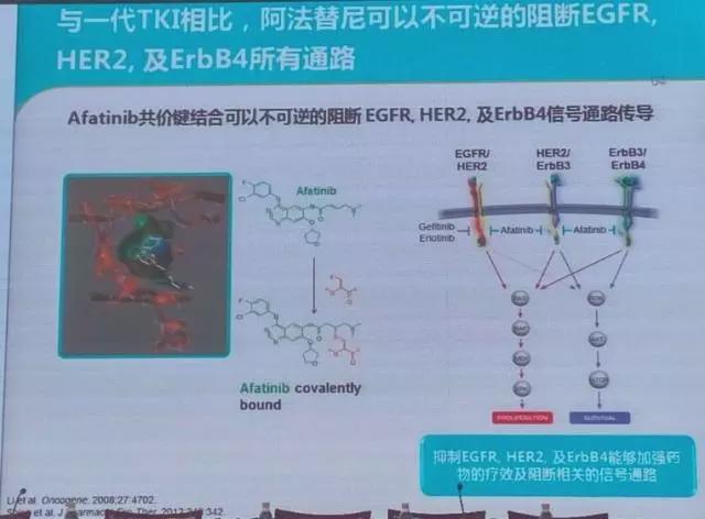 吉非替尼耐药后能吃特罗凯吗_凯美纳耐药后吃特罗凯_特罗凯盐酸厄洛替尼片意大利价格