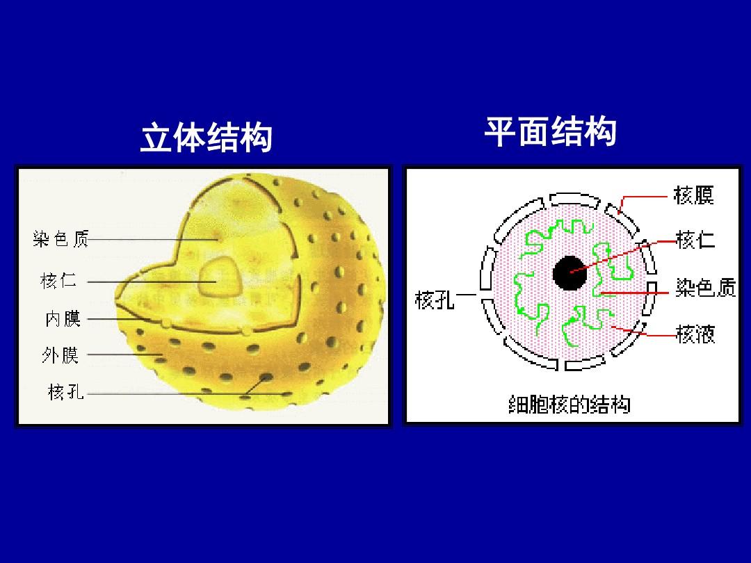 贝伐珠单抗是靶向药吗_贝伐珠单抗可以报销吗_贝伐珠单抗如何生产