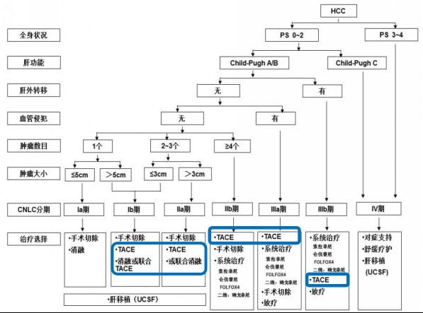 贝伐珠单抗价格_贝伐珠单抗原料药_贝伐珠单抗