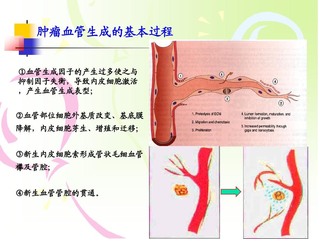 贝伐珠单抗如何生产_贝伐珠单抗是靶向药吗_贝伐珠单抗 耐药性