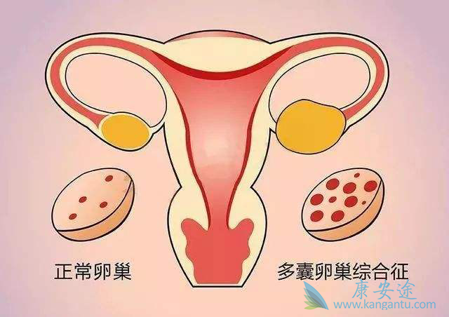 贝伐珠单抗靶向是啥_贝伐珠单抗是化疗药吗_贝伐珠单抗在河北报销