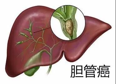 索拉非尼片_用量减半索拉非尼有效果吗_索拉非尼有印度