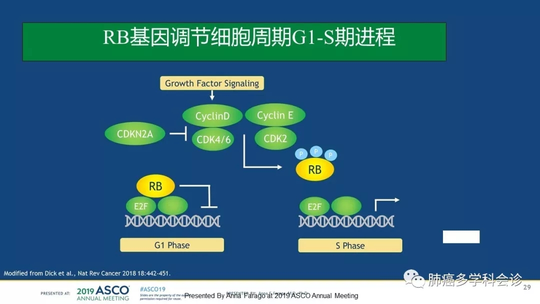 贝伐单抗多久有耐药性_肺癌贝伐单抗进展_贝伐珠单抗是化疗药吗