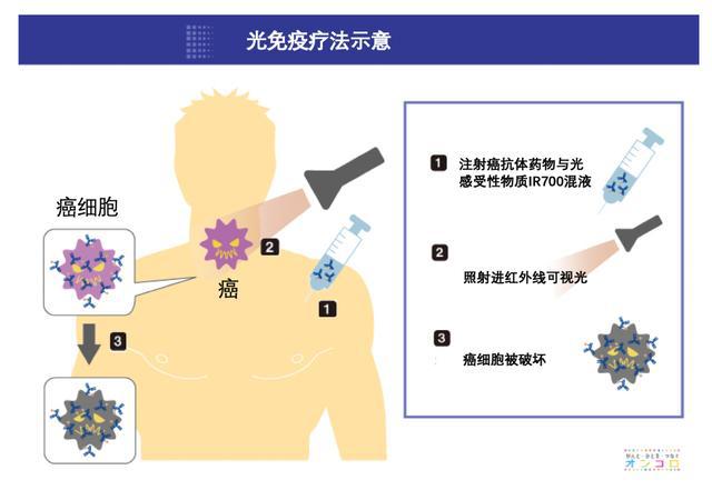 奥希替尼多少钱一盒_奥希替尼耐药后有新药了吗_azd 9291 奥希替尼