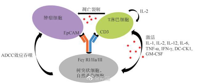 azd 9291 奥希替尼_奥希替尼耐药后有新药了吗_奥希替尼多少钱一盒