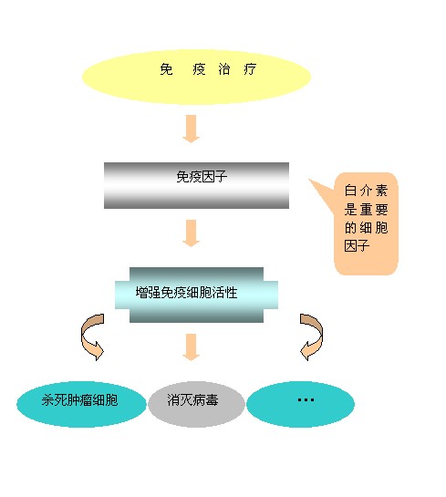 奥希替尼9291药品_azd9291奥希替尼_奥希替尼耐药后有新药了吗