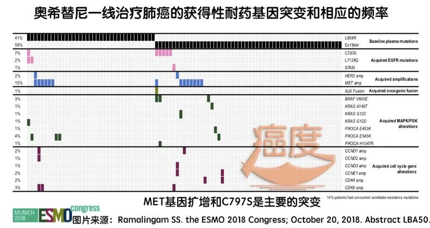 希罗达是靶向药吗_奥希替尼靶向药一年费用_加拿大 靶向药 费用