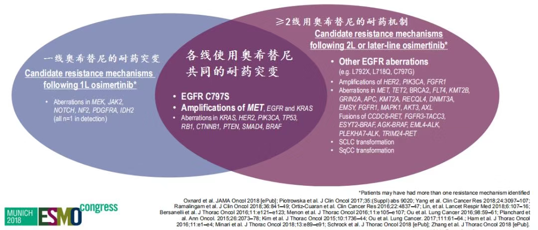 中国版奥希替尼_吃奥希替尼耐药后的状态_索拉非尼耐药后