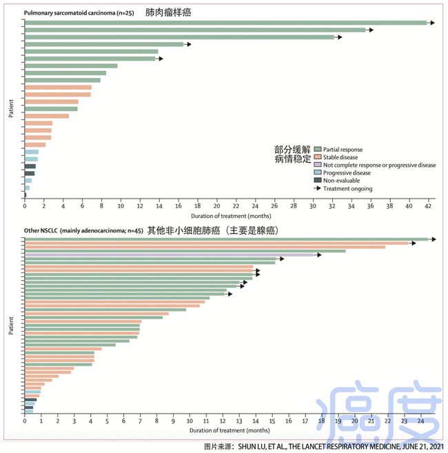 多美吉 索拉非尼_吉非替尼适合什么患者_家教之被害妄想症患者沢田纲吉