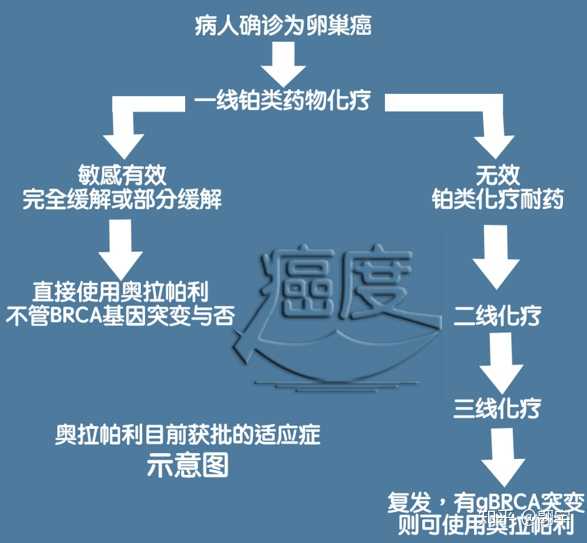 卵巢癌治疗用贝伐珠单抗报销吗_贝伐单抗和贝伐珠单抗_贝伐珠单抗说明书