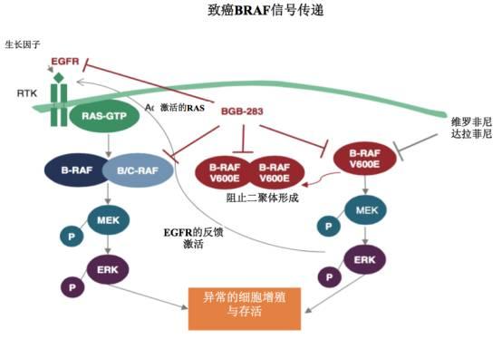 贝伐珠单抗是靶向药吗_贝伐珠单抗治疗脑水肿用量_贝伐珠单抗的副作用