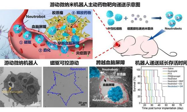 贝伐珠单抗赠药_贝伐单抗和贝伐珠单抗_电场疗法贝伐珠单抗