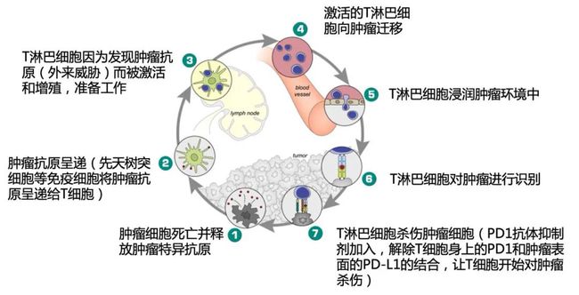 治癌贝伐单抗能导致牙疼_贝伐珠单抗价格_贝伐单抗-阿瓦斯汀大陆卖多少钱?