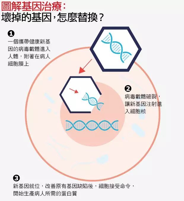 贝伐珠单抗报销后价格_贝伐单抗耐药性_肠癌用贝伐单抗可以报销吗