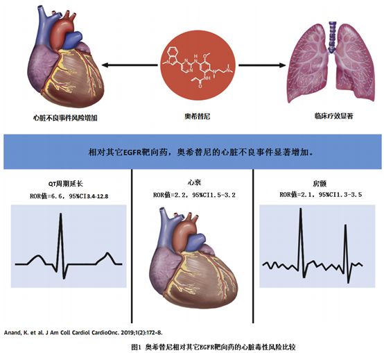 什么情况服用阿帕替尼_服用吉非替尼会心肌炎_服用索拉非尼后低烧