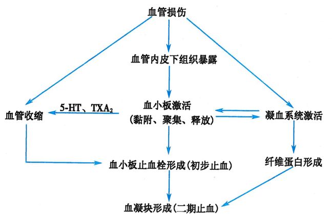 贝伐单抗-阿瓦斯汀大陆卖多少钱?_贝伐单抗血栓预防_肺癌新药贝伐单抗