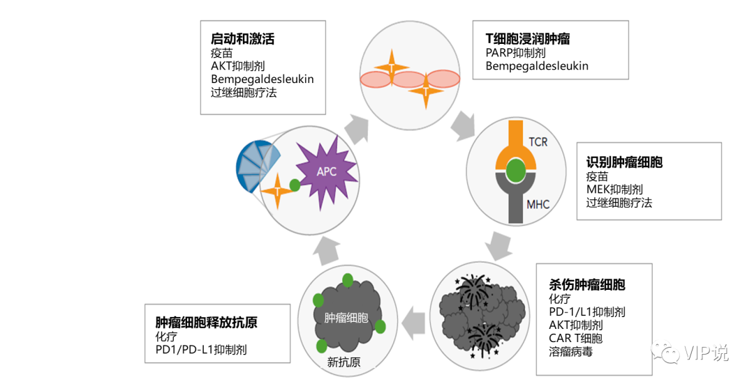 贝伐珠单抗说明书_透析患者是否能用贝伐珠单抗_贝伐珠单抗的副作用