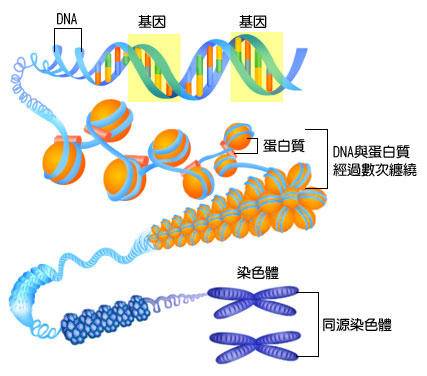 奥希替尼9291哪里买_二线治疗奥希替尼_9291奥希替尼价格