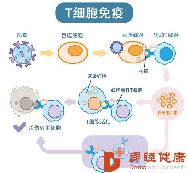 贝伐单抗能不能杀死癌细胞_贝伐珠单抗价格_贝伐单抗多久有耐药性