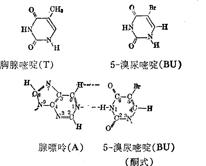 吉非替尼什么症状表示耐药_索拉非尼 耐药时间_克唑替尼耐药后alk阳性