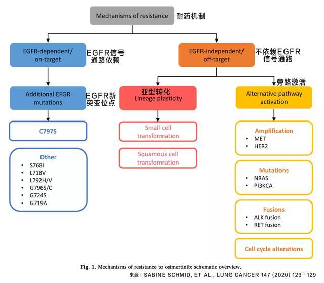 香港买奥希替尼多少钱_阿斯利康 奥希替尼_奥希替尼哪种比较好