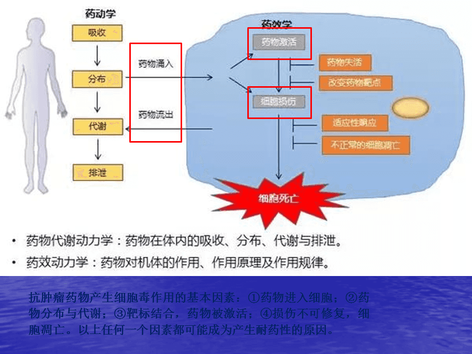 吉非替尼什么症状表示耐药_克唑替尼耐药转让赠药_伊马替尼多长时间耐药