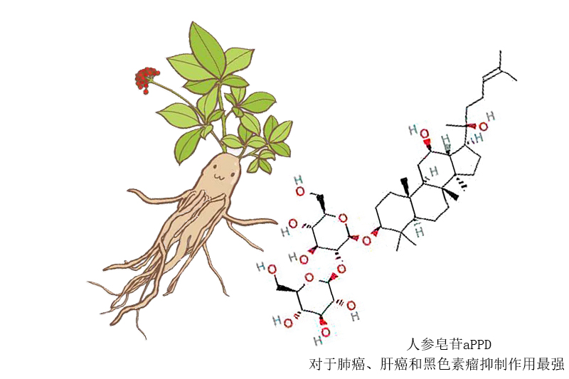 9291奥希替尼价格_印度9291奥希替尼图片_肺癌中晚吃奥希替尼效果咋样