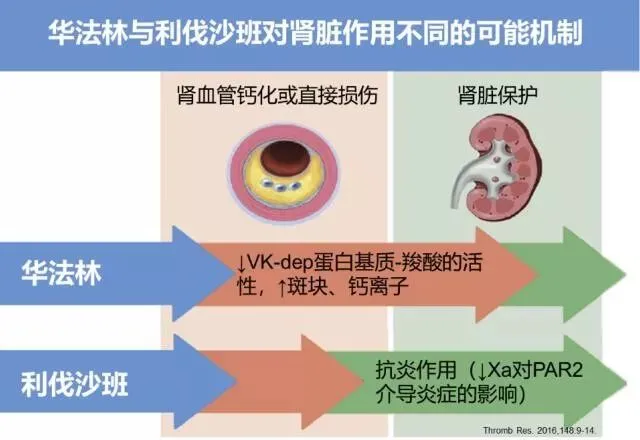 口服靶向药_索拉非尼靶向药是口服吗_口服化疗药是靶向药吗