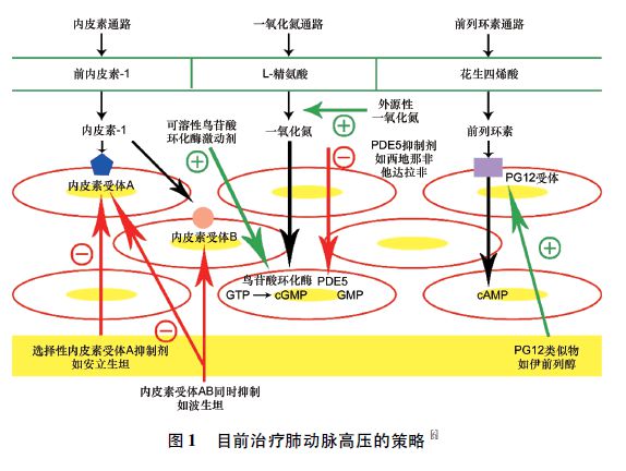 贝伐珠单抗的临床试验_贝伐珠单抗价格_贝伐珠单抗最新价格