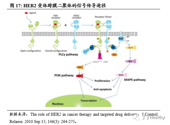 去哪买印度版奥希替尼_非小细胞癌鳞癌奥希替尼_奥希替尼印度版多少钱