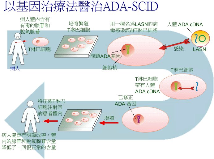 吉非替尼药有哪些_艾尼瓦尔·尼吉木博士_吉药控股艾滋药最新消息