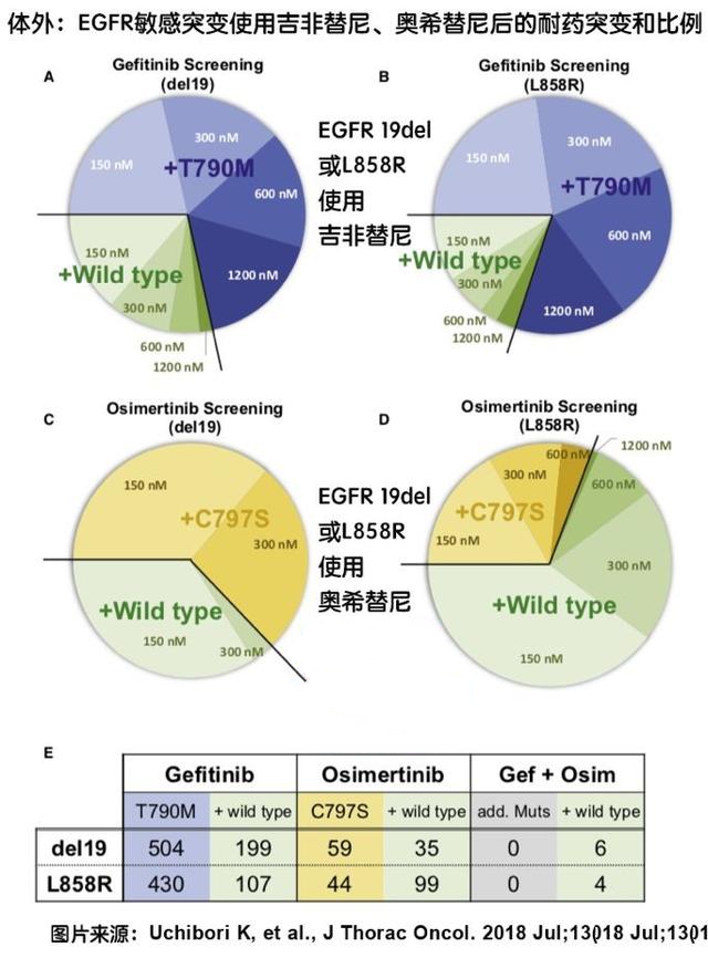 奥斯替尼和奥希替尼_奥希替尼是耐药时间_印度9291奥希替尼图片