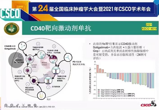 贝伐珠单抗靶向是啥_子宫内膜癌贝伐单抗_贝伐珠单抗4个月后赠药