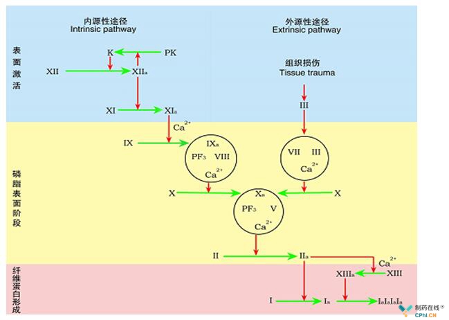 贝伐珠单抗靶向是啥_贝伐珠单抗加化疗药效果怎么样_贝伐珠单抗是化疗药吗