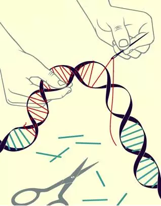 贝伐珠单抗可以报销吗_结肠癌腹腔灌注贝伐珠单抗_贝伐珠单抗最新价格