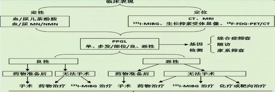 贝伐珠单抗多少钱一支_贝伐珠单抗治疗后乏力_贝伐珠单抗可以报销吗