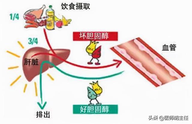 贝伐珠单抗赠药_贝伐珠单抗前使用护肝护胃_贝伐珠单抗不良反应